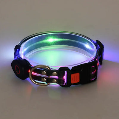 Rechargeable LED Pet Collar and Leash